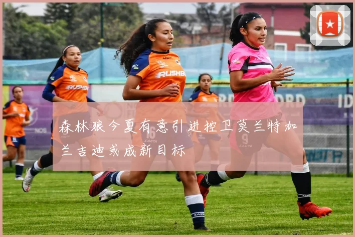 森林狼今夏有意引进控卫莫兰特加兰吉迪或成新目标