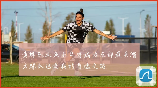 黄蜂队未来七年将成为东部最具潜力球队这是我的首选之路